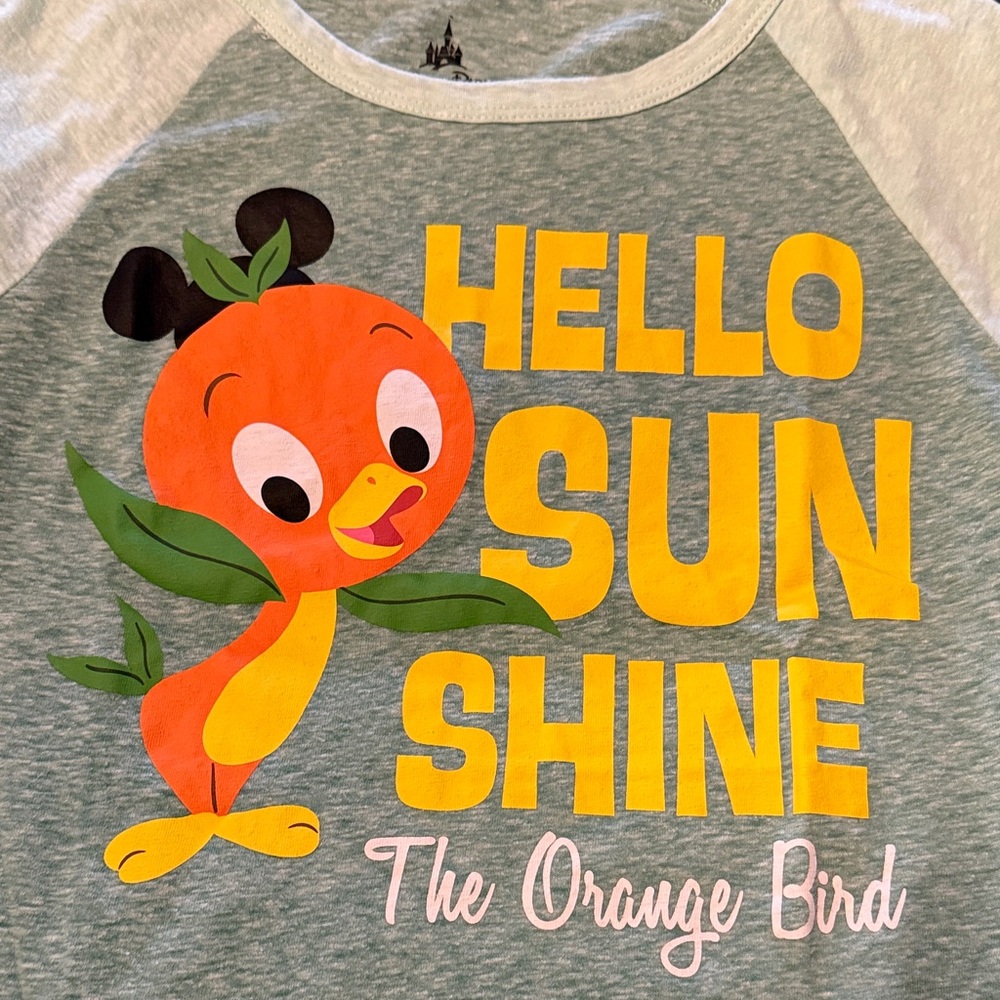 Hello Sunshine Disney Orange Bird Women’s Raglan Shirt - Light Green - Picture 3 of 4
